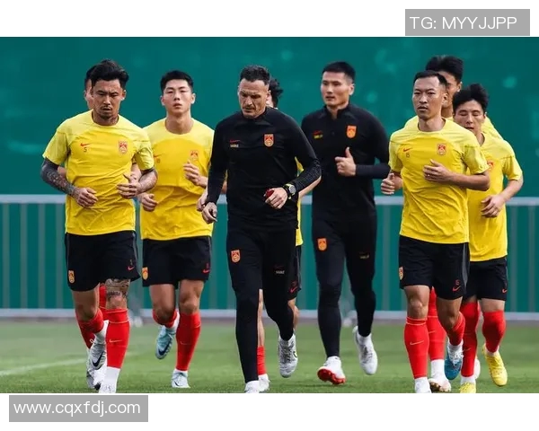 2016年国足与伊朗激战全场录像回顾精彩瞬间与战术分析